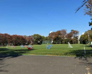 東京大学バブルサッカークラブの体験